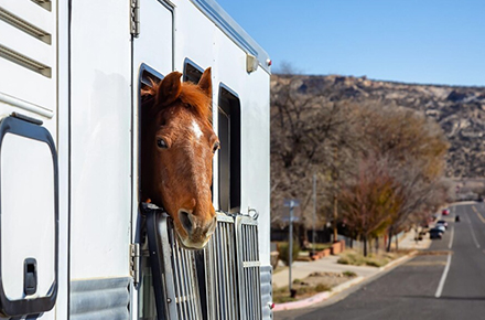 Logistic Marketplace Software